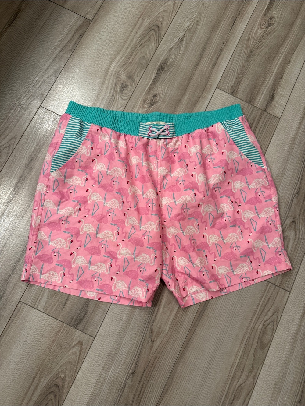 Matilda Jane Pink Flamingo Swim Shorts with Teal Waistband - XXL